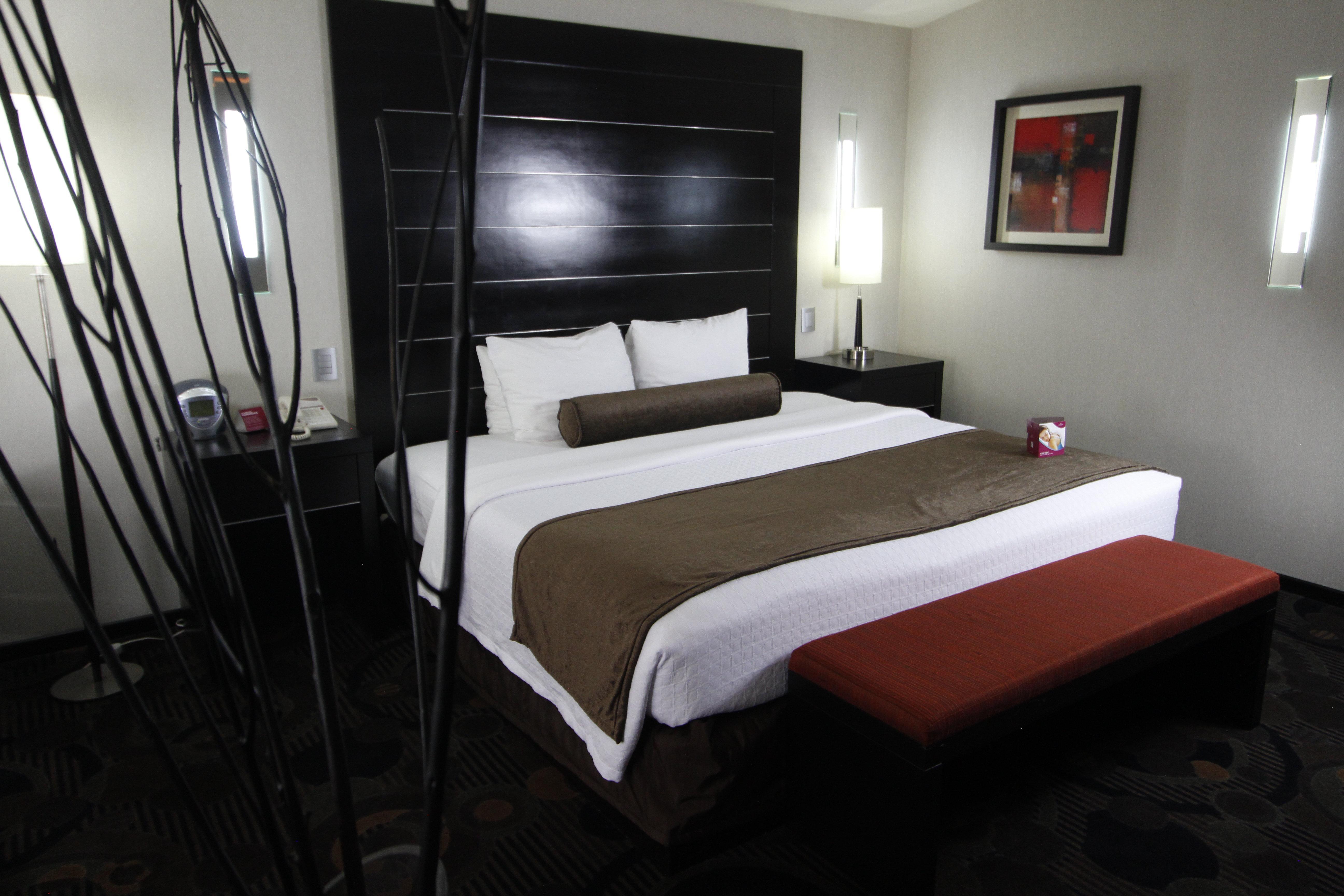 Hotel Crowne Plaza Toluca - Lancaster By Ihg Zewnętrze zdjęcie